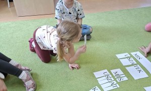 Sówki: Marzec 2026 - Zdjęcie 44