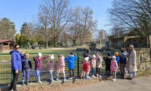 Sówki: Marzec 2026 - Zdjęcie 47