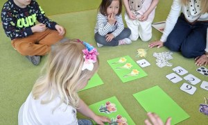 Sówki: Marzec 2026 - Zdjęcie 74