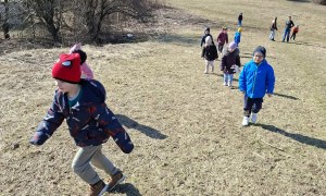 Sówki: Marzec 2026 - Zdjęcie 75