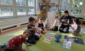 Sówki: Marzec 2026 - Zdjęcie 86