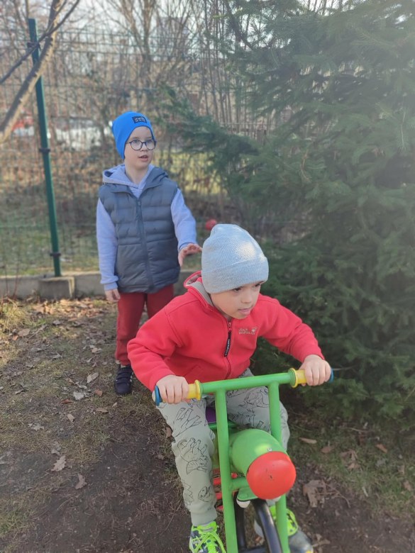 Tygryski: Marzec 2026 - Zdjęcie 11