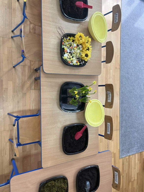 Tygryski: Marzec 2026 - Zdjęcie 57