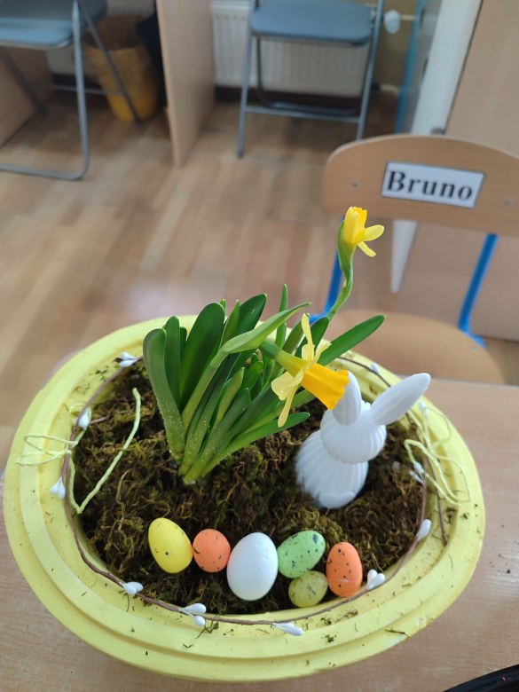 Tygryski: Marzec 2026 - Zdjęcie 73