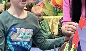 Tygryski: Marzec 2026 - Zdjęcie 2