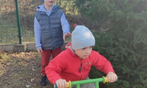 Tygryski: Marzec 2026 - Zdjęcie 11