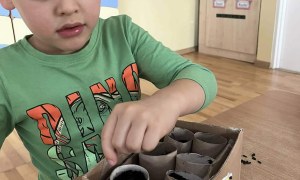 Tygryski: Marzec 2026 - Zdjęcie 12