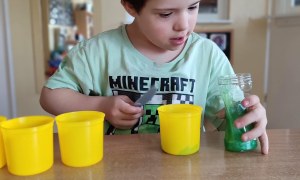 Tygryski: Marzec 2026 - Zdjęcie 35