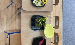 Tygryski: Marzec 2026 - Zdjęcie 57