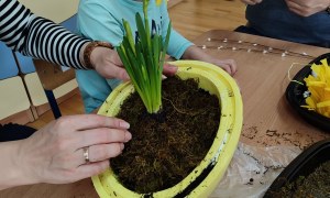 Tygryski: Marzec 2026 - Zdjęcie 60