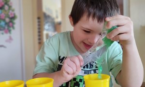 Tygryski: Marzec 2026 - Zdjęcie 64