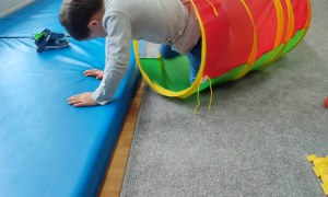 Tygryski: Marzec 2026 - Zdjęcie 67