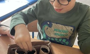 Tygryski: Marzec 2026 - Zdjęcie 66