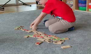 Tygryski: Marzec 2026 - Zdjęcie 17