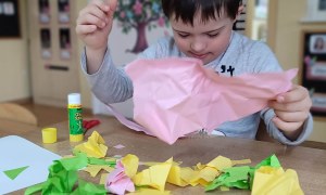 Tygryski: Marzec 2026 - Zdjęcie 29