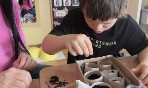 Tygryski: Marzec 2026 - Zdjęcie 46