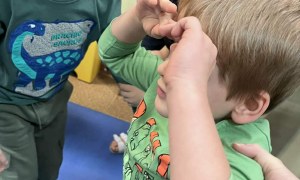 Tygryski: Marzec 2026 - Zdjęcie 49