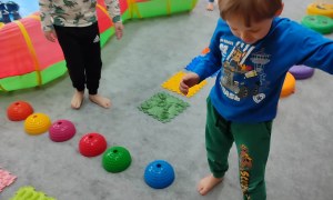 Tygryski: Marzec 2026 - Zdjęcie 58