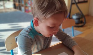 Tygryski: Marzec 2026 - Zdjęcie 62