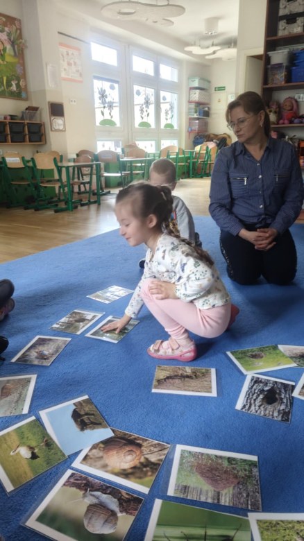 Żabki: Marzec 2026 - Zdjęcie 5