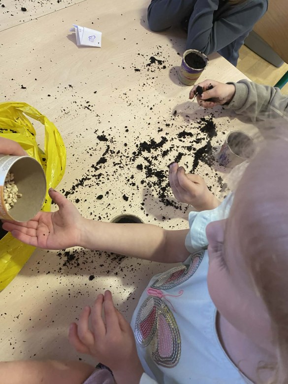 Żabki: Marzec 2026 - Zdjęcie 15