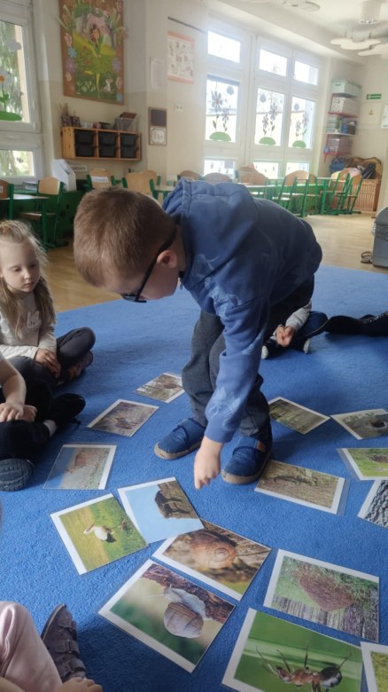 Żabki: Marzec 2026 - Zdjęcie 256