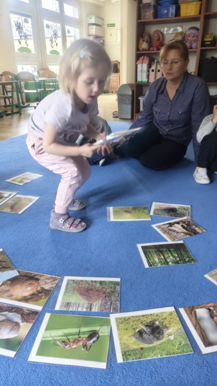 Żabki: Marzec 2026 - Zdjęcie 111