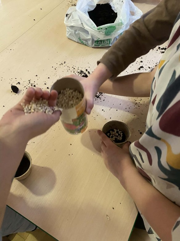 Żabki: Marzec 2026 - Zdjęcie 140