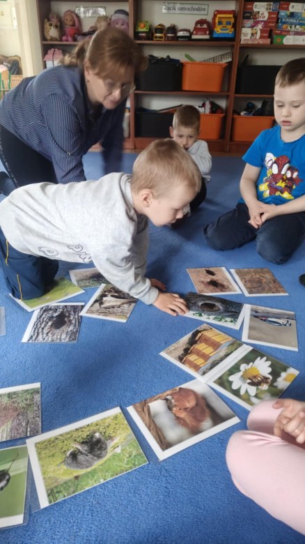 Żabki: Marzec 2026 - Zdjęcie 233