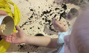 Żabki: Marzec 2026 - Zdjęcie 15