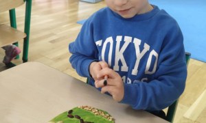 Żabki: Marzec 2026 - Zdjęcie 21