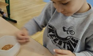 Żabki: Marzec 2026 - Zdjęcie 89