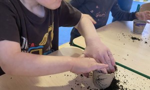 Żabki: Marzec 2026 - Zdjęcie 100