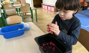 Żabki: Marzec 2026 - Zdjęcie 115