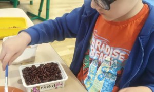 Żabki: Marzec 2026 - Zdjęcie 210