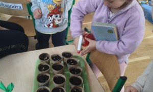 Żabki: Marzec 2026 - Zdjęcie 61