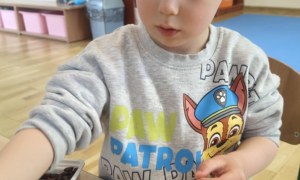 Żabki: Marzec 2026 - Zdjęcie 101