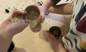 Żabki: Marzec 2026 - Zdjęcie 140