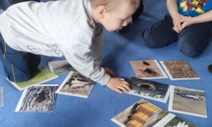 Żabki: Marzec 2026 - Zdjęcie 233