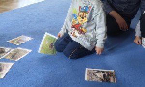 Żabki: Marzec 2026 - Zdjęcie 234