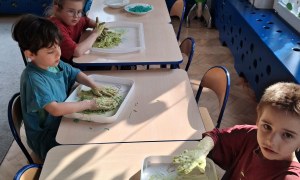 Muminki: Marzec 2026 - Zdjęcie 56