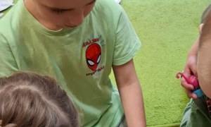 Muminki: Marzec 2026 - Zdjęcie 62