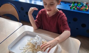 Muminki: Marzec 2026 - Zdjęcie 24