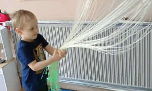 Jeżyki: Marzec 2026 - Zdjęcie 4