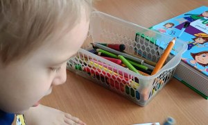 Jeżyki: Marzec 2026 - Zdjęcie 5