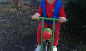 Jeżyki: Marzec 2026 - Zdjęcie 9