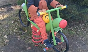 Jeżyki: Marzec 2026 - Zdjęcie 10