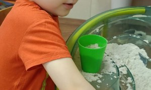 Jeżyki: Marzec 2026 - Zdjęcie 15