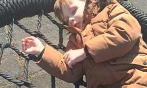 Jeżyki: Marzec 2026 - Zdjęcie 13