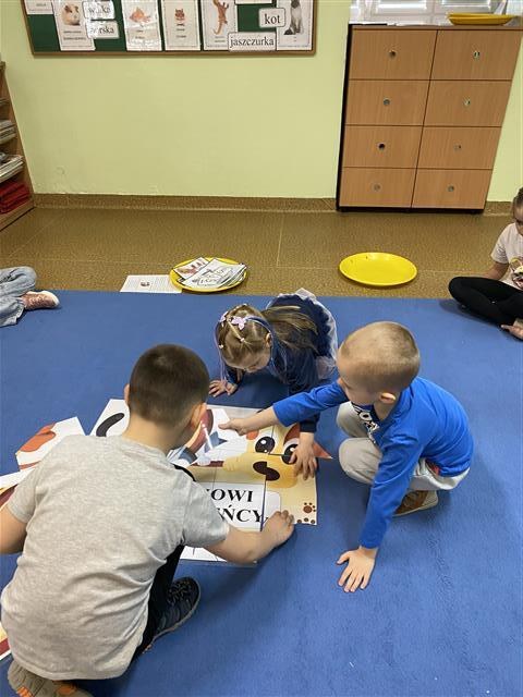 Misie: Marzec 2026 - Zdjęcie 2